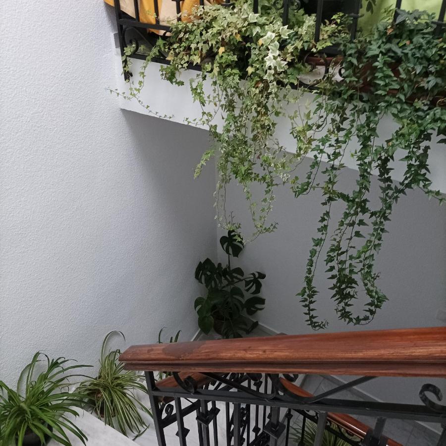 Ferienwohnung Medina Baguh  Priego de Córdoba Exterior foto